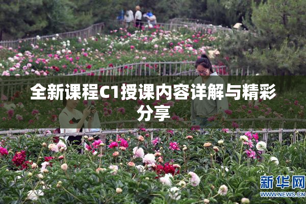 全新课程C1授课内容详解与精彩分享