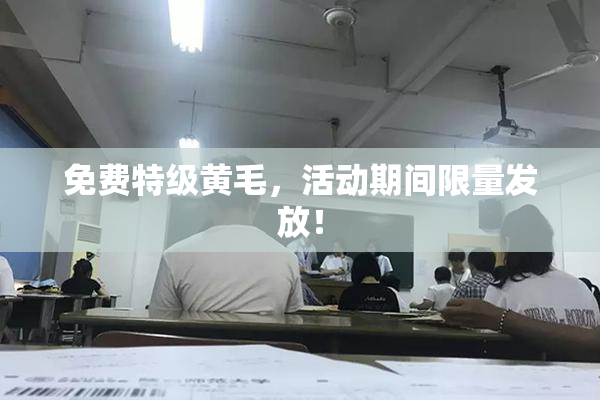 免费特级黄毛，活动期间限量发放！