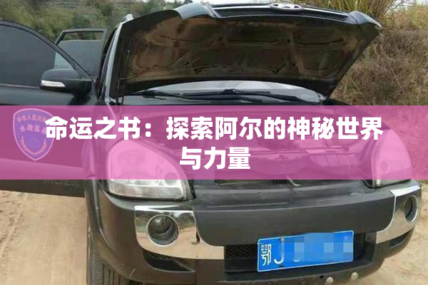 命运之书：探索阿尔的神秘世界与力量