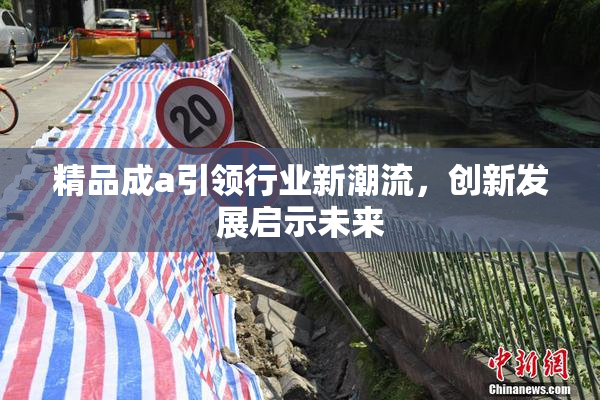 精品成a引领行业新潮流，创新发展启示未来