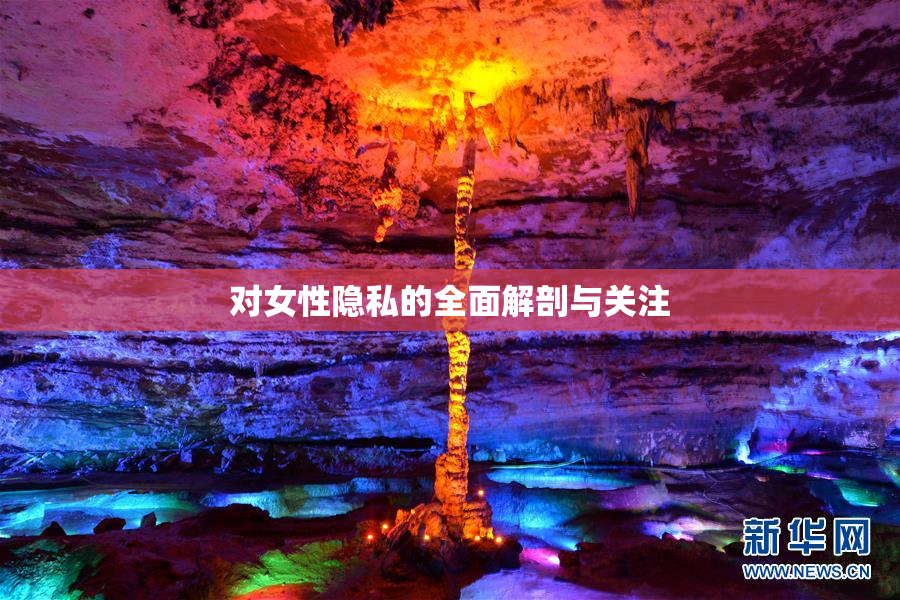 对女性隐私的全面解剖与关注