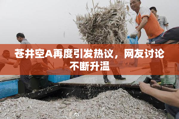 苍井空A再度引发热议，网友讨论不断升温