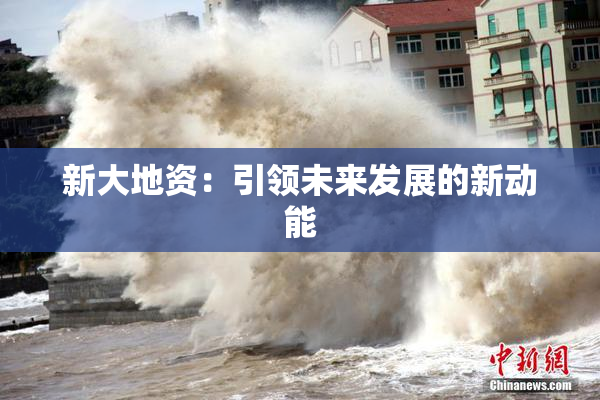 新大地资：引领未来发展的新动能