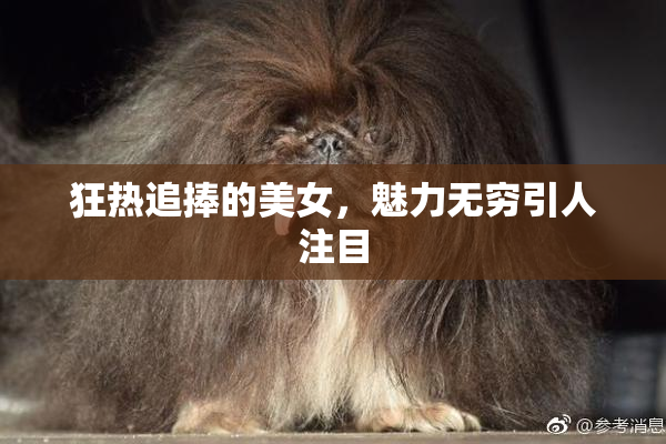 狂热追捧的美女，魅力无穷引人注目