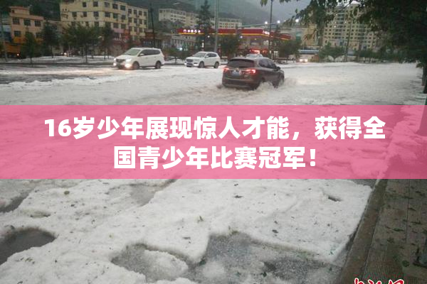 16岁少年展现惊人才能，获得全国青少年比赛冠军！