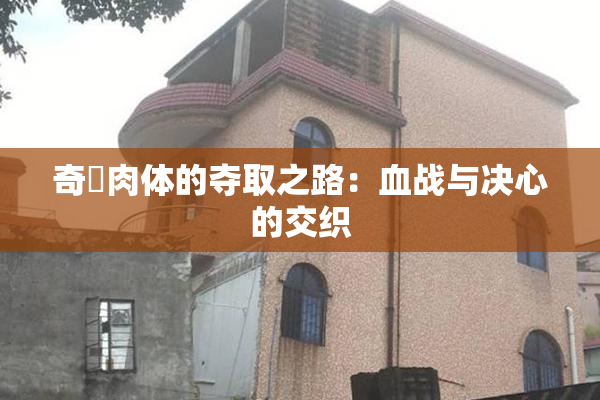 奇犽肉体的夺取之路：血战与决心的交织