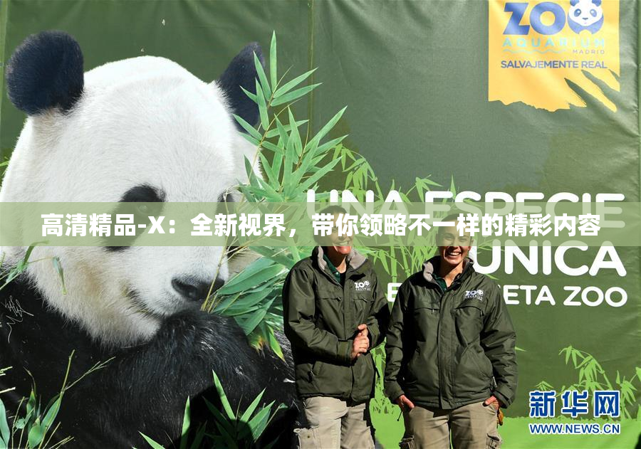 高清精品-X：全新视界，带你领略不一样的精彩内容