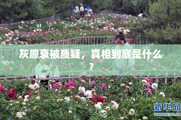 灰原衰被质疑，真相到底是什么？