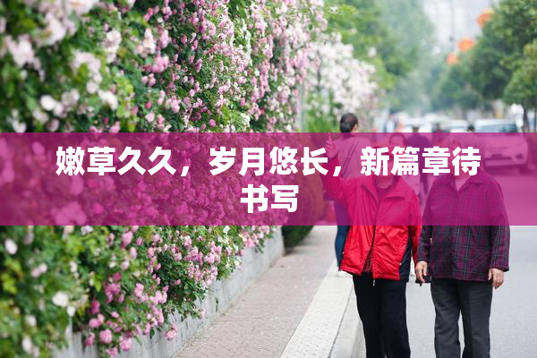 嫩草久久，岁月悠长，新篇章待书写