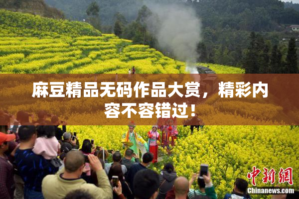 麻豆精品无码作品大赏，精彩内容不容错过！