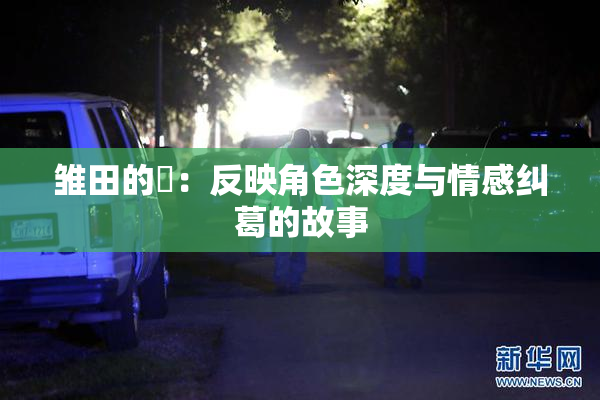 雏田的婬：反映角色深度与情感纠葛的故事