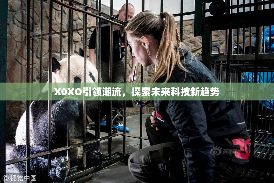 X0XO引领潮流，探索未来科技新趋势