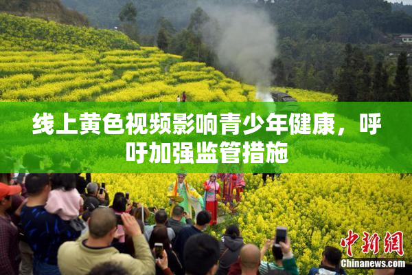 线上黄色视频影响青少年健康，呼吁加强监管措施
