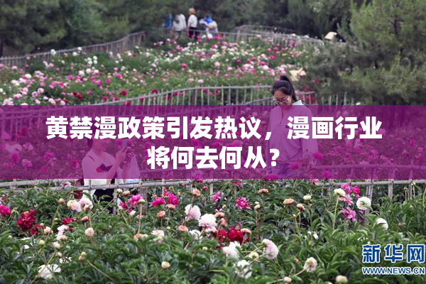 黄禁漫政策引发热议，漫画行业将何去何从？