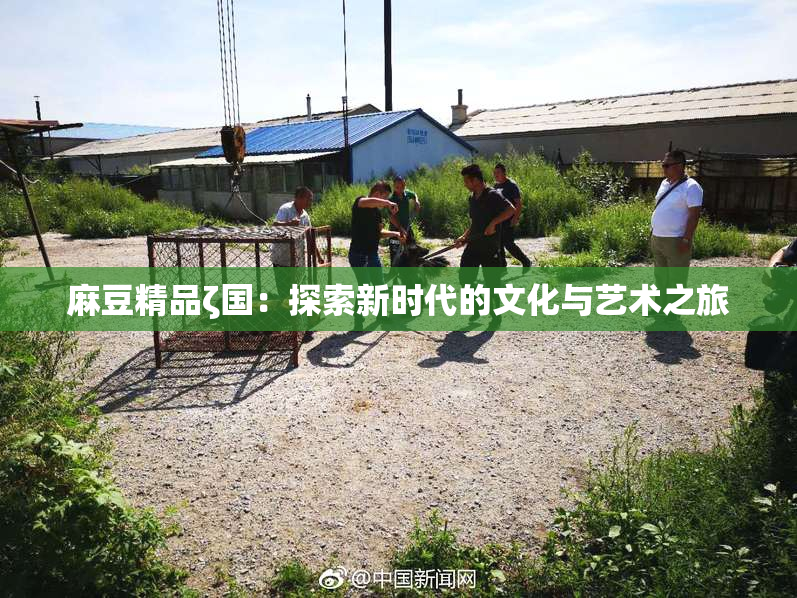 麻豆精品ζ国：探索新时代的文化与艺术之旅