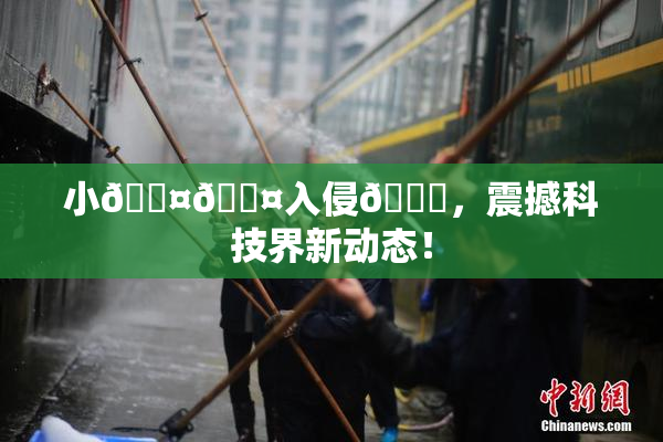小🐤🐤入侵🍑，震撼科技界新动态！