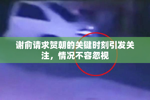 谢俞请求贺朝的关键时刻引发关注，情况不容忽视