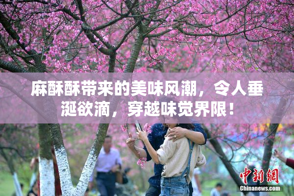 麻酥酥带来的美味风潮，令人垂涎欲滴，穿越味觉界限！