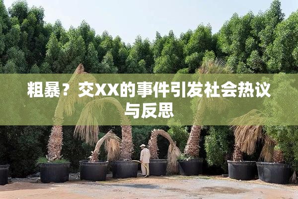 粗暴？交XX的事件引发社会热议与反思