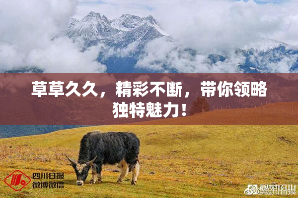 草草久久，精彩不断，带你领略独特魅力！