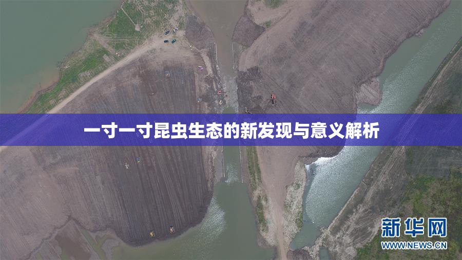 一寸一寸昆虫生态的新发现与意义解析