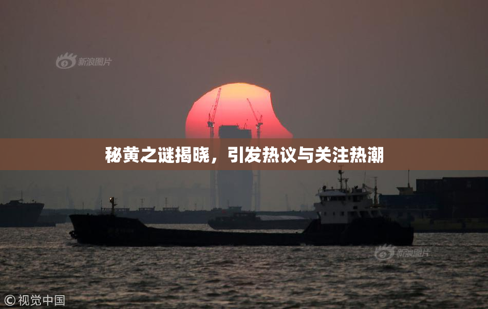 秘黄之谜揭晓，引发热议与关注热潮