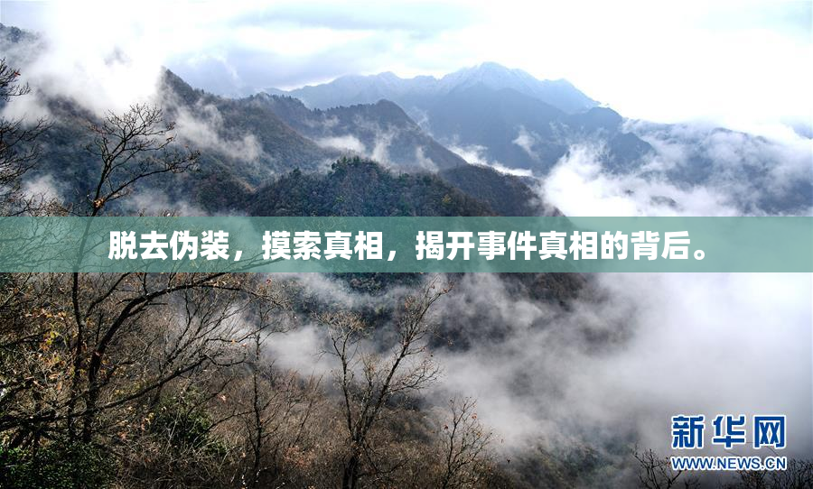 脱去伪装，摸索真相，揭开事件真相的背后。
