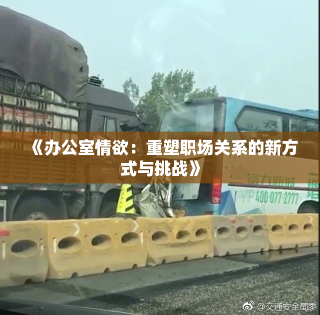 《办公室情欲：重塑职场关系的新方式与挑战》