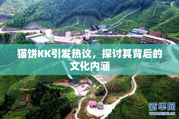 猫饼KK引发热议，探讨其背后的文化内涵