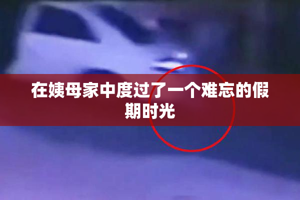 在姨母家中度过了一个难忘的假期时光