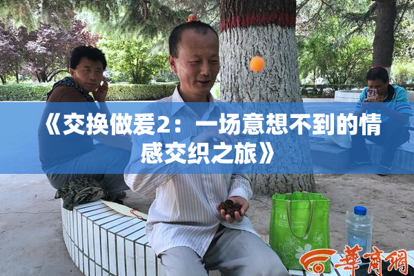 《交换做爰2：一场意想不到的情感交织之旅》