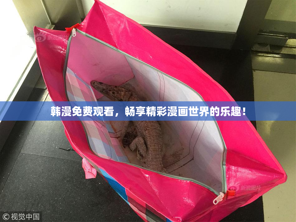 韩漫免费观看，畅享精彩漫画世界的乐趣！