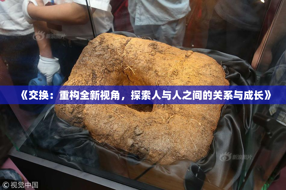 《交换：重构全新视角，探索人与人之间的关系与成长》
