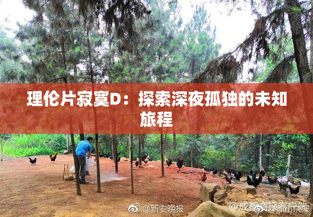 理伦片寂寞D：探索深夜孤独的未知旅程