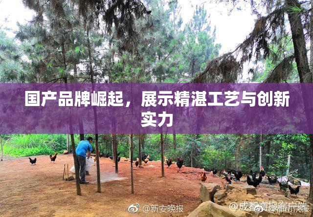 国产品牌崛起，展示精湛工艺与创新实力