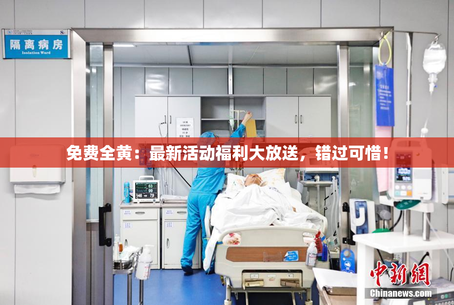 免费全黄：最新活动福利大放送，错过可惜！