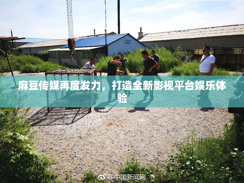 麻豆传媒再度发力，打造全新影视平台娱乐体验
