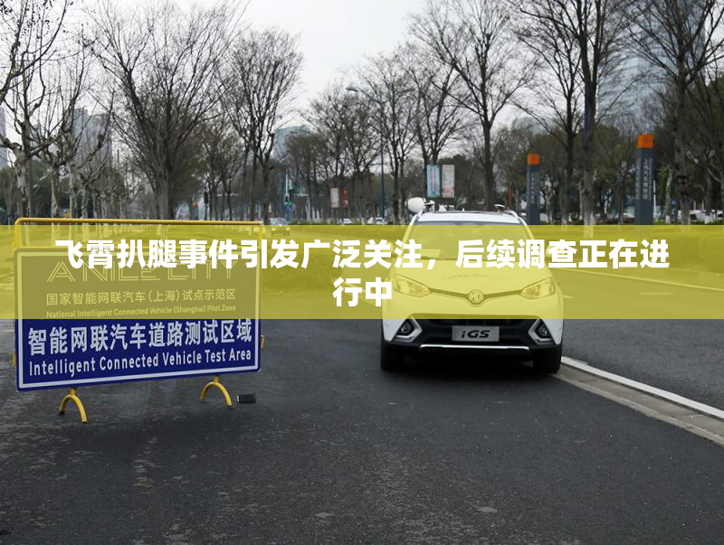 飞霄扒腿事件引发广泛关注，后续调查正在进行中