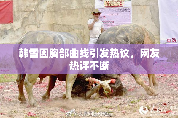 韩雪因胸部曲线引发热议，网友热评不断