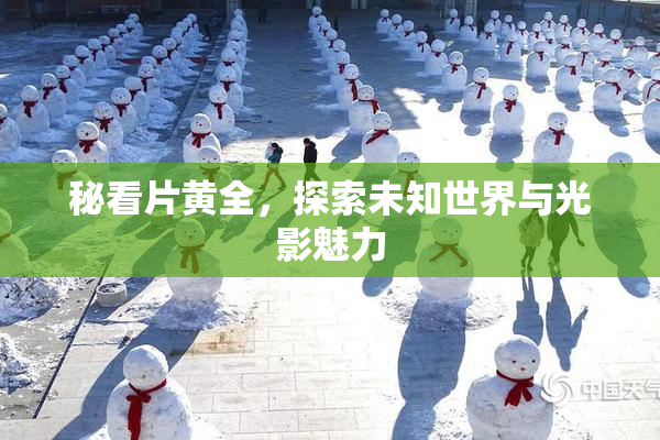 秘看片黄全，探索未知世界与光影魅力