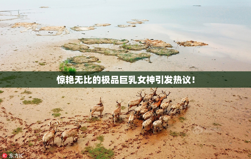 惊艳无比的极品巨乳女神引发热议！
