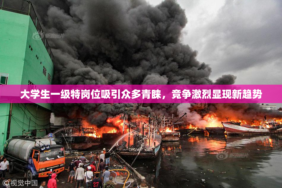 大学生一级特岗位吸引众多青睐，竞争激烈显现新趋势