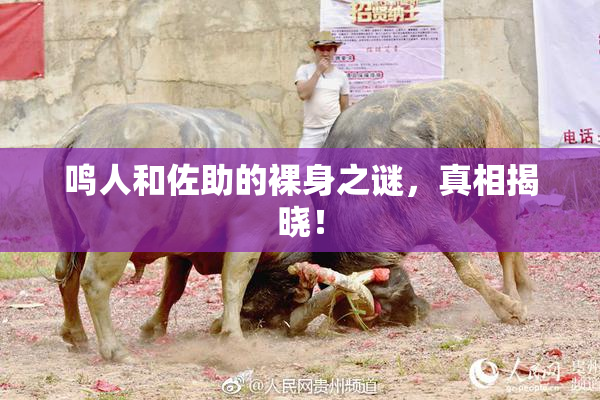 鸣人和佐助的裸身之谜，真相揭晓！