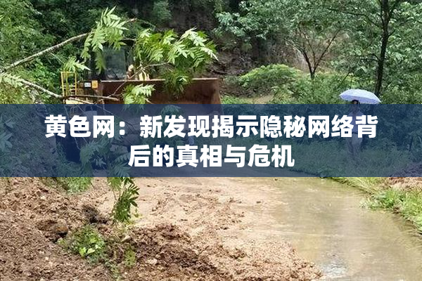 黄色网：新发现揭示隐秘网络背后的真相与危机