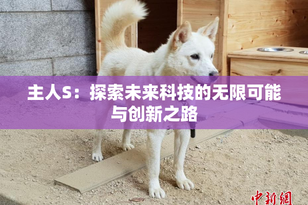 主人S：探索未来科技的无限可能与创新之路