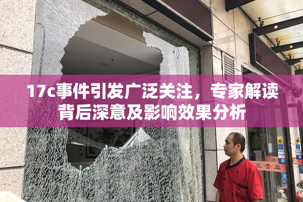 17c事件引发广泛关注，专家解读背后深意及影响效果分析