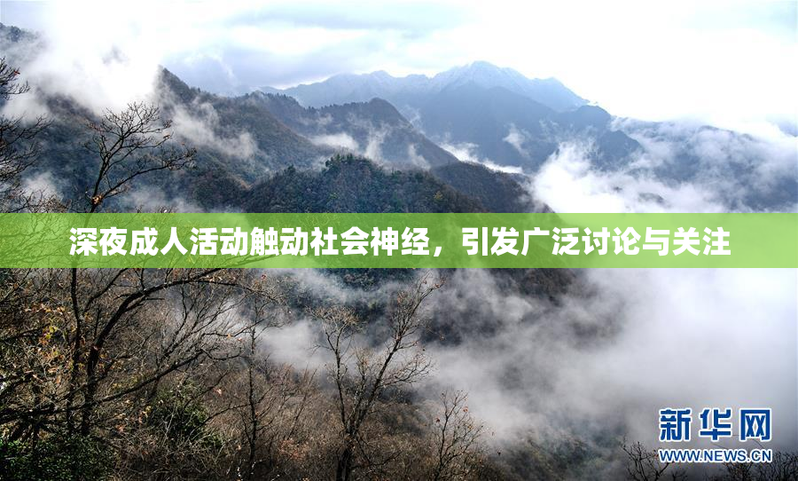 深夜成人活动触动社会神经，引发广泛讨论与关注