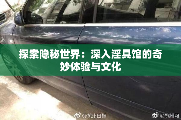 探索隐秘世界：深入淫具馆的奇妙体验与文化