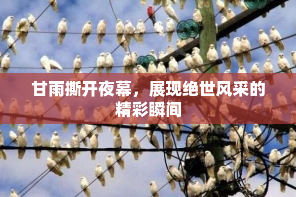 甘雨撕开夜幕，展现绝世风采的精彩瞬间