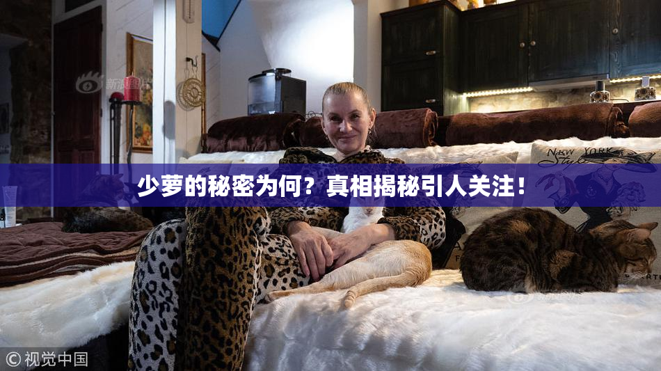 少萝的秘密为何？真相揭秘引人关注！